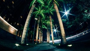 Preview wallpaper palms, night, street, lighting