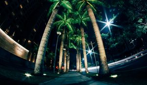 Preview wallpaper palms, night, street, lighting