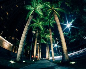 Preview wallpaper palms, night, street, lighting