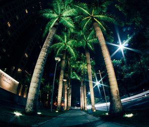 Preview wallpaper palms, night, street, lighting