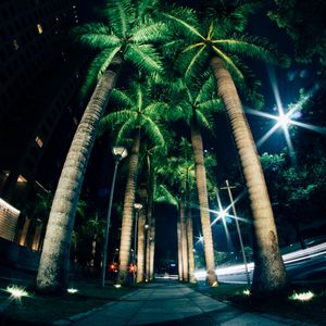 Preview wallpaper palms, night, street, lighting