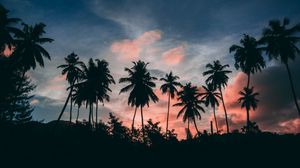 Preview wallpaper palms, outlines, sunset, tropics, clouds, sky