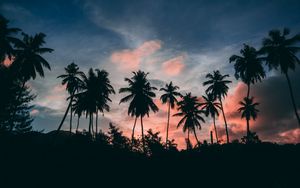 Preview wallpaper palms, outlines, sunset, tropics, clouds, sky