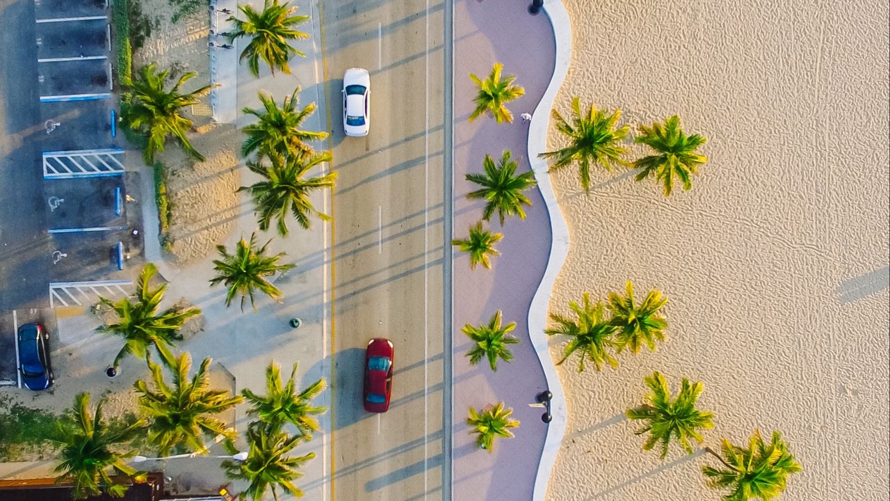 Wallpaper palms, road, view from above, cars, tropics, summer