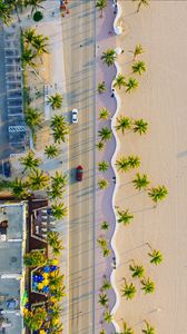 Preview wallpaper palms, road, view from above, cars, tropics, summer