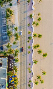 Preview wallpaper palms, road, view from above, cars, tropics, summer