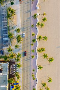 Preview wallpaper palms, road, view from above, cars, tropics, summer