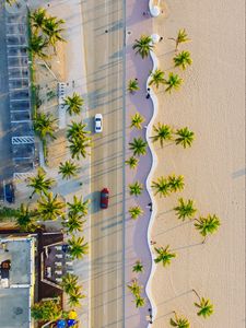 Preview wallpaper palms, road, view from above, cars, tropics, summer