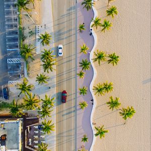 Preview wallpaper palms, road, view from above, cars, tropics, summer