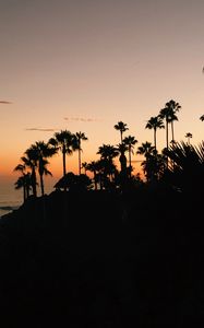 Preview wallpaper palms, silhouette, tropical, sunset