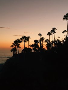 Preview wallpaper palms, silhouette, tropical, sunset