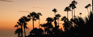Preview wallpaper palms, silhouette, tropical, sunset