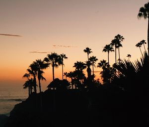 Preview wallpaper palms, silhouette, tropical, sunset