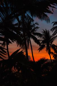 Preview wallpaper palms, silhouettes, dark, dusk