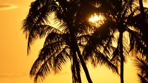 Preview wallpaper palms, silhouettes, sea, sunset, dark