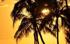 Preview wallpaper palms, silhouettes, sea, sunset, dark