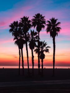 Preview wallpaper palms, silhouettes, shadow, beach, sky