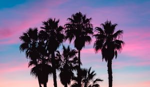 Preview wallpaper palms, silhouettes, shadow, beach, sky