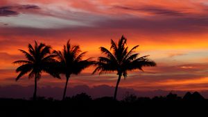 Preview wallpaper palms, silhouettes, sunset, sky, clouds, tropics
