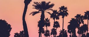 Preview wallpaper palms, silhouettes, sunset, gradient, dark
