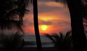 Preview wallpaper palms, silhouettes, sunset, sun, dark