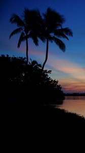 Preview wallpaper palms, silhouettes, trees, sea, sunset, dark