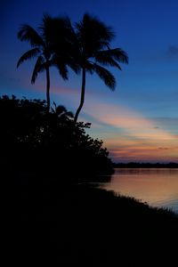 Preview wallpaper palms, silhouettes, trees, sea, sunset, dark