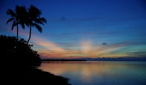Preview wallpaper palms, silhouettes, trees, sea, sunset, dark