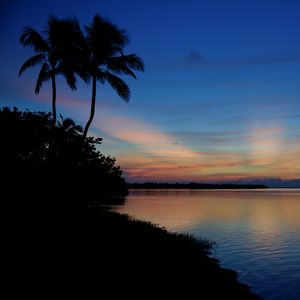 Preview wallpaper palms, silhouettes, trees, sea, sunset, dark