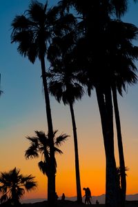 Preview wallpaper palms, silhouettes, tropics, sunset, trees