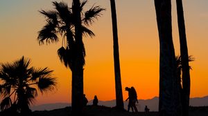 Preview wallpaper palms, silhouettes, tropics, sunset, trees