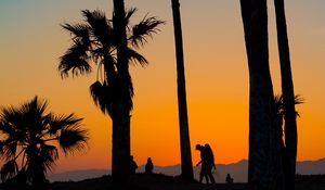 Preview wallpaper palms, silhouettes, tropics, sunset, trees