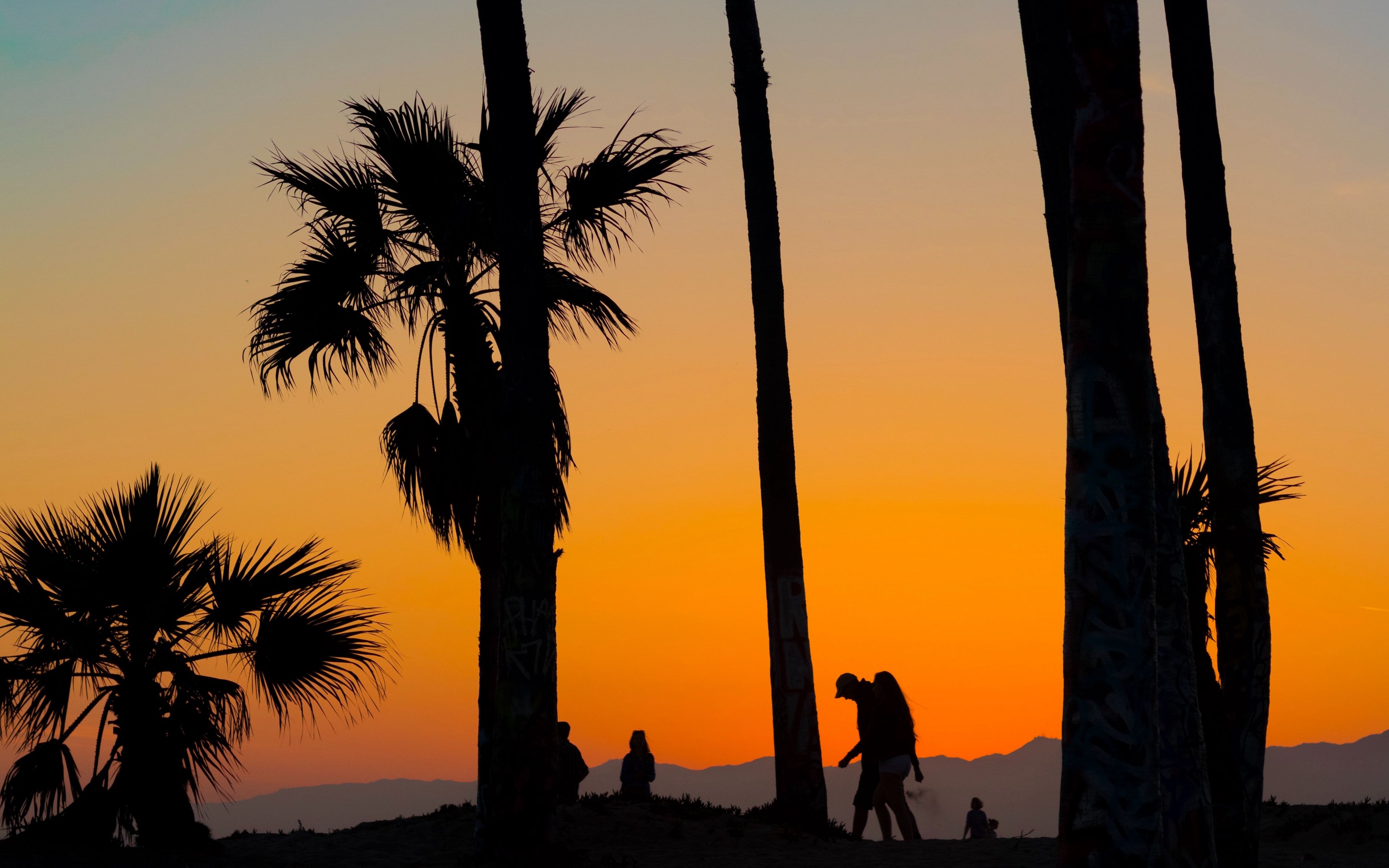 Download wallpaper 3840x2400 palms, silhouettes, tropics, sunset, trees