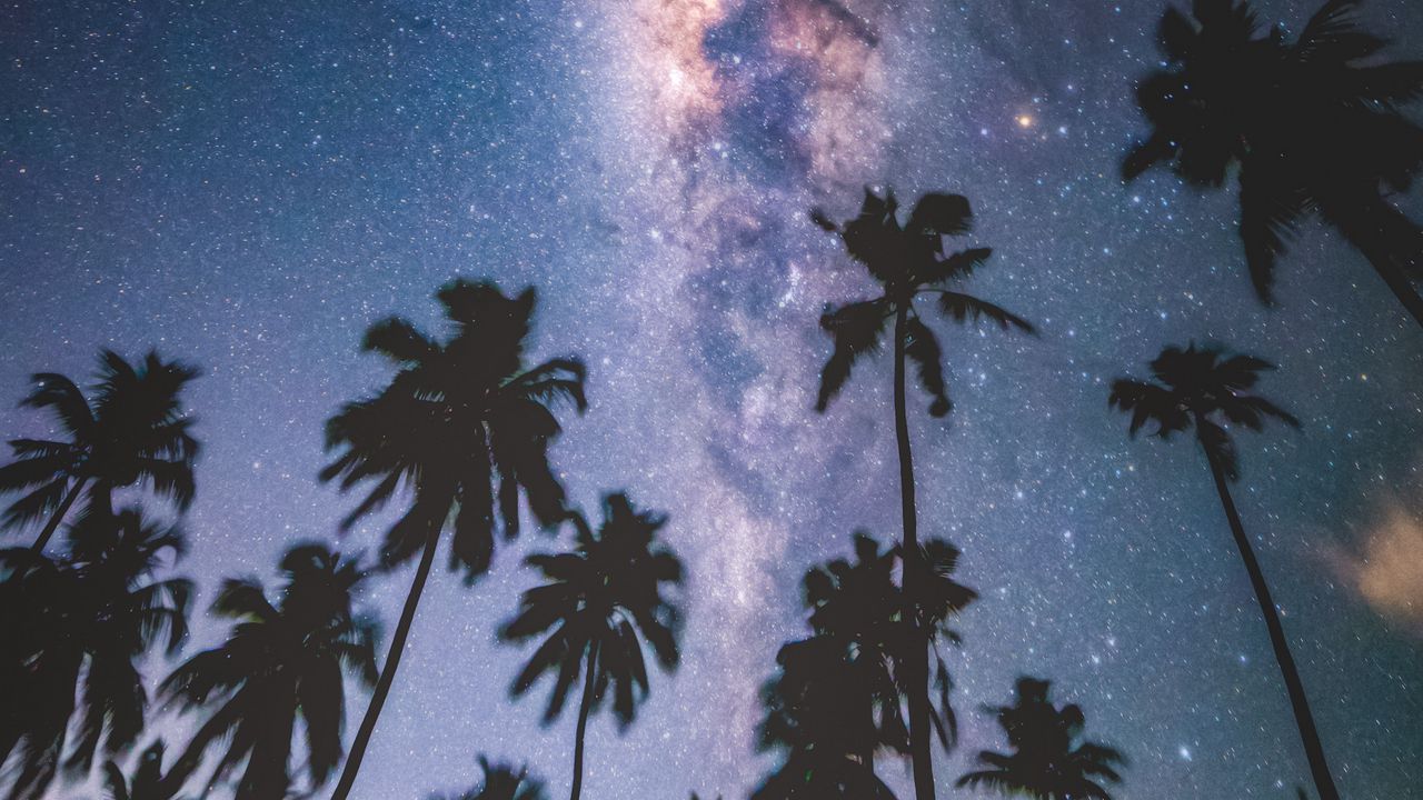 Wallpaper palms, starry sky, milky way, stars, night, maldives