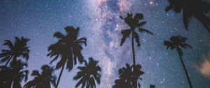 Preview wallpaper palms, starry sky, milky way, stars, night, maldives