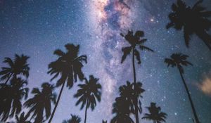 Preview wallpaper palms, starry sky, milky way, stars, night, maldives