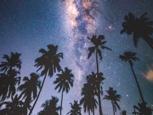 Preview wallpaper palms, starry sky, milky way, stars, night, maldives