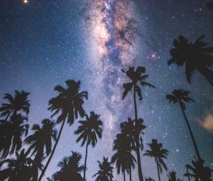 Preview wallpaper palms, starry sky, milky way, stars, night, maldives