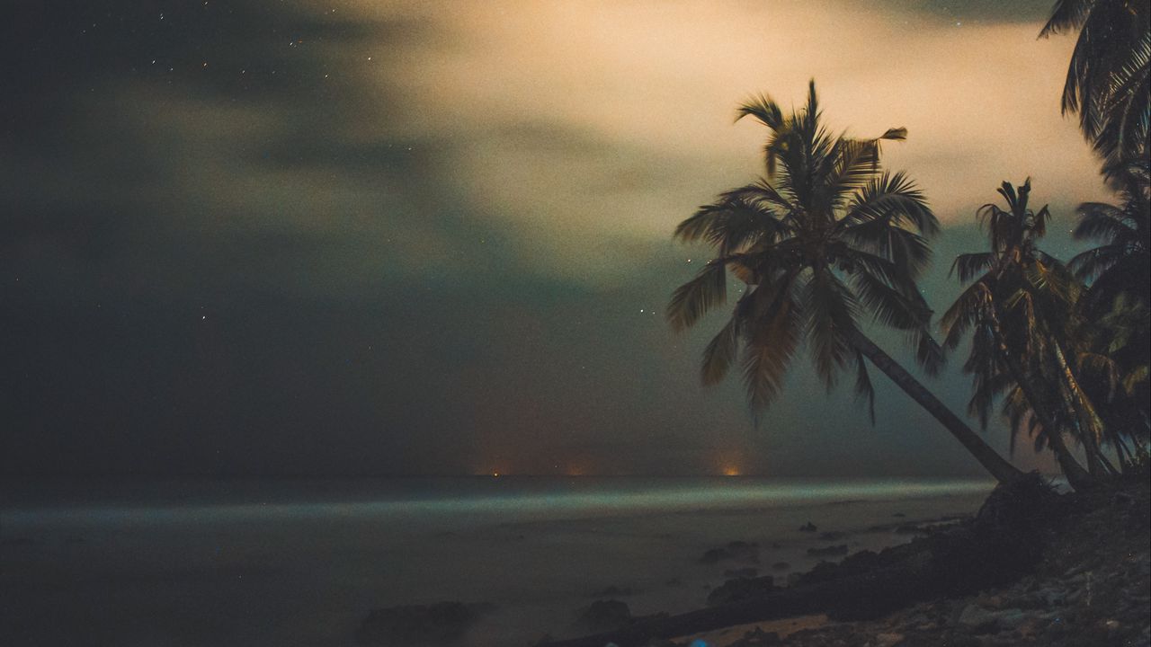 Wallpaper palms, starry sky, shore, night, tropics