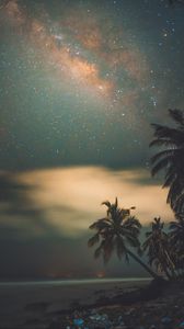 Preview wallpaper palms, starry sky, shore, night, tropics