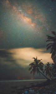 Preview wallpaper palms, starry sky, shore, night, tropics