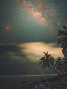 Preview wallpaper palms, starry sky, shore, night, tropics