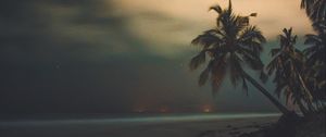 Preview wallpaper palms, starry sky, shore, night, tropics