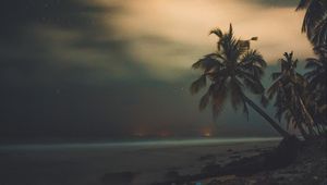 Preview wallpaper palms, starry sky, shore, night, tropics