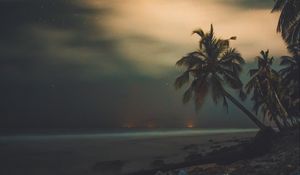 Preview wallpaper palms, starry sky, shore, night, tropics