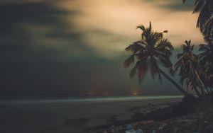 Preview wallpaper palms, starry sky, shore, night, tropics