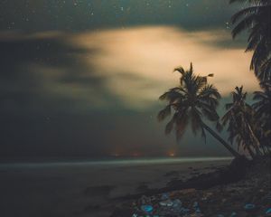 Preview wallpaper palms, starry sky, shore, night, tropics