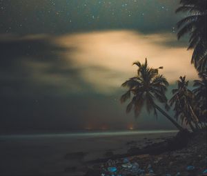 Preview wallpaper palms, starry sky, shore, night, tropics