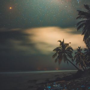 Preview wallpaper palms, starry sky, shore, night, tropics