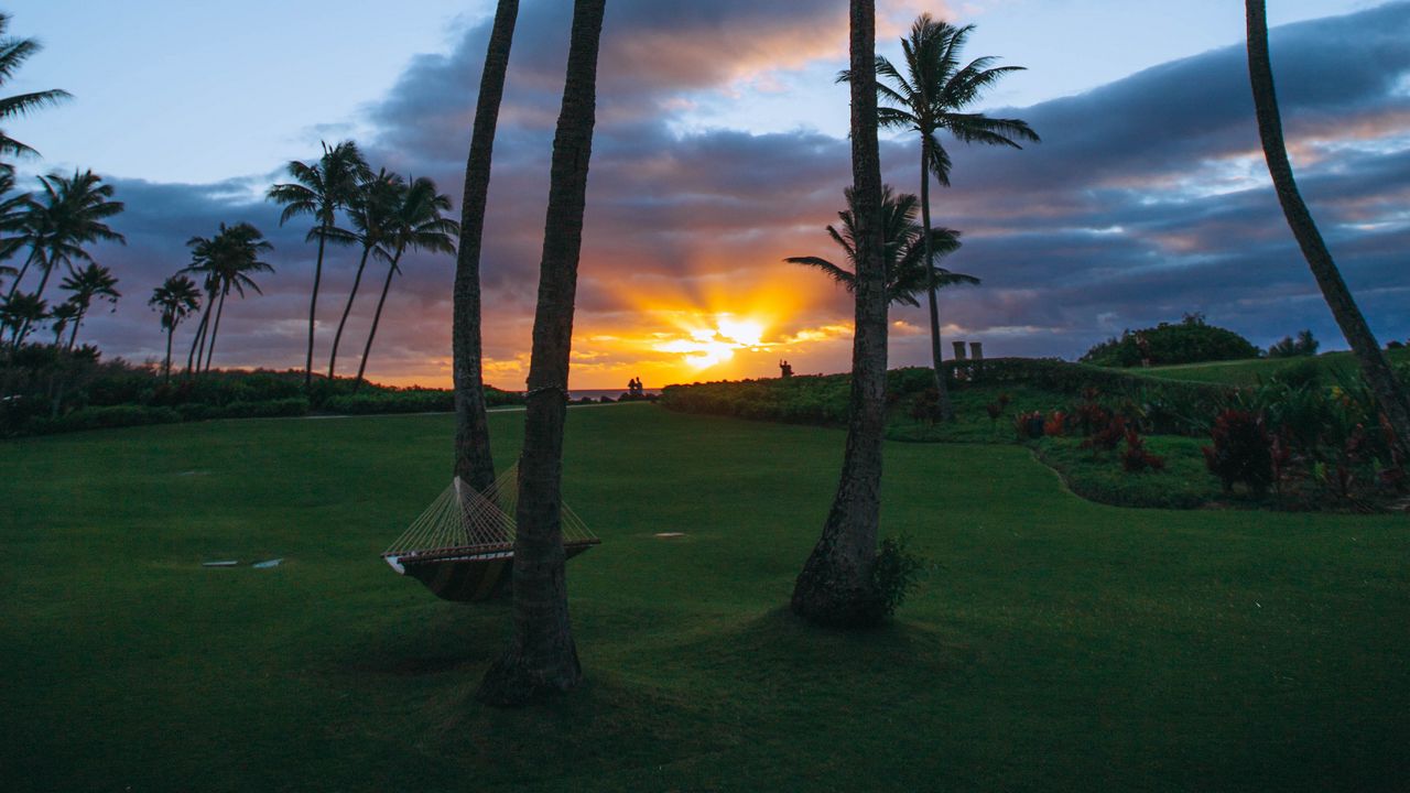 Wallpaper palms, sunset, hammock, tropics, summer, koloa, united states